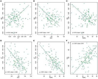 Intra- and inter-specific responses of plant functional traits to environmental variables: implications for community ecology in the tropical monsoonal dwarf forest on Hainan Island
